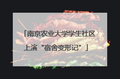 南京农业大学学生社区上演“宿舍变形记”