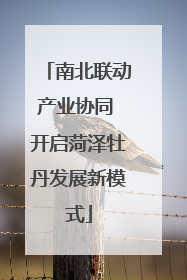 南北联动产业协同 开启菏泽牡丹发展新模式