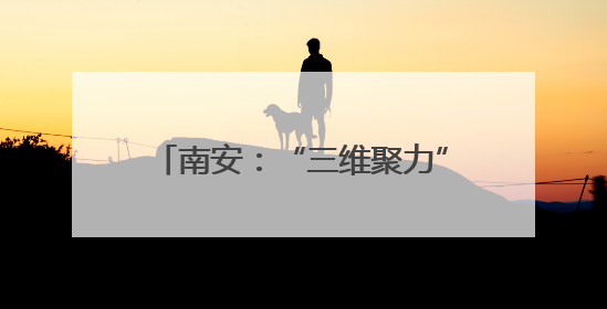 南安：“三维聚力”筑牢高质量发展根基