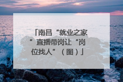南昌“就业之家”直播带岗让“岗位找人”（图）