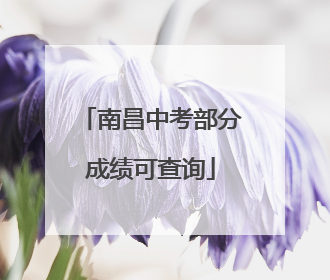 南昌中考部分成绩可查询