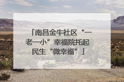 南昌金牛社区“一老一小”幸福院托起民生“微幸福”