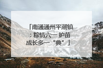 南通通州平潮镇：粽情六一 护苗成长多一“典”