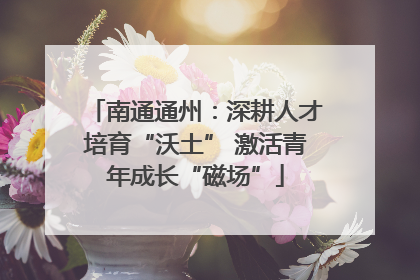 南通通州：深耕人才培育“沃土” 激活青年成长“磁场”