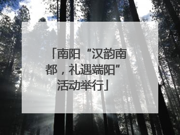 南阳“汉韵南都，礼遇端阳”活动举行