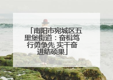 南阳市宛城区五里堡街道：奋楫笃行勇争先 实干奋进结硕果