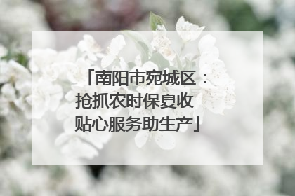南阳市宛城区：抢抓农时保夏收 贴心服务助生产