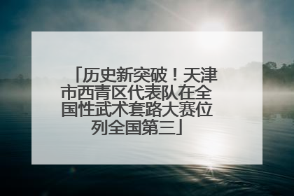 历史新突破！天津市西青区代表队在全国性武术套路大赛位列全国第三