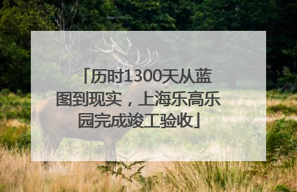 历时1300天从蓝图到现实，上海乐高乐园完成竣工验收