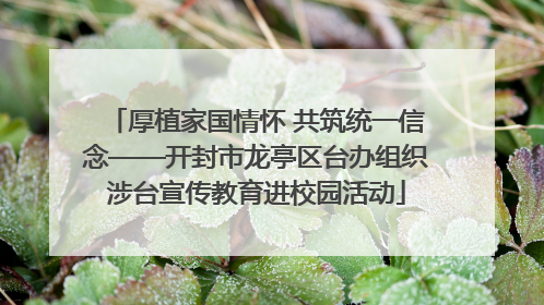 厚植家国情怀 共筑统一信念——开封市龙亭区台办组织涉台宣传教育进校园活动
