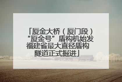 厦金大桥（厦门段）“厦金号”盾构机始发 福建省最大直径盾构隧道正式掘进