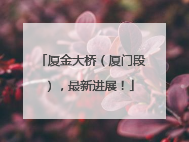厦金大桥（厦门段），最新进展！