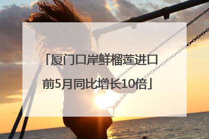 厦门口岸鲜榴莲进口 前5月同比增长10倍