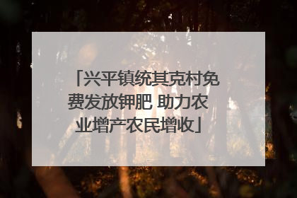 兴平镇统其克村免费发放钾肥 助力农业增产农民增收