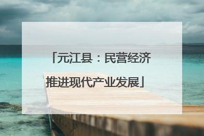 元江县：民营经济推进现代产业发展