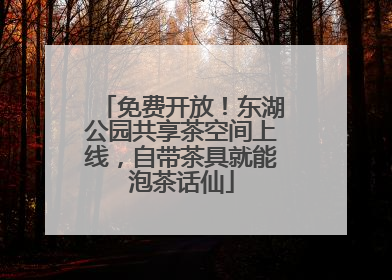 免费开放！东湖公园共享茶空间上线，自带茶具就能泡茶话仙