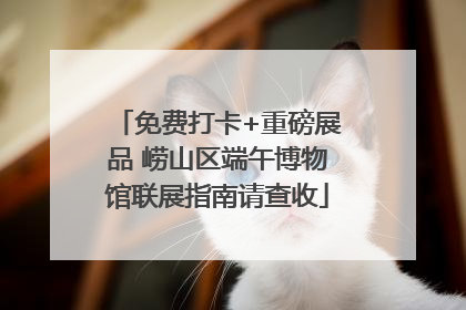 免费打卡+重磅展品 崂山区端午博物馆联展指南请查收