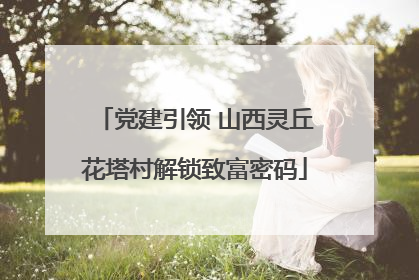 党建引领 山西灵丘花塔村解锁致富密码