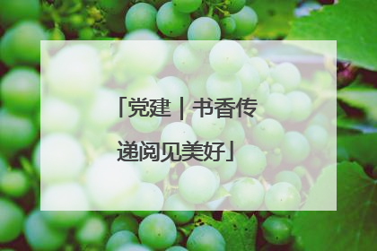 党建｜书香传递阅见美好