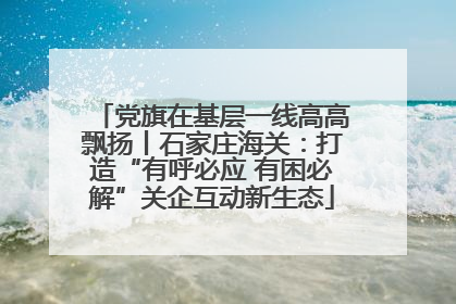 党旗在基层一线高高飘扬丨石家庄海关：打造“有呼必应 有困必解”关企互动新生态