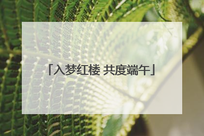 入梦红楼 共度端午