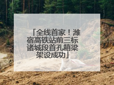 全线首家！潍宿高铁站前三标诸城段首孔箱梁架设成功