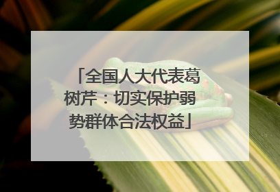 全国人大代表葛树芹：切实保护弱势群体合法权益