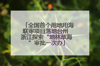全国首个用地用海联审项目落地台州 浙江探索“地林草海”审批一次办