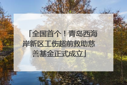 全国首个！青岛西海岸新区工伤超前救助慈善基金正式成立