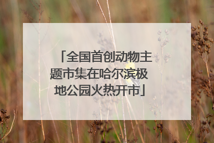全国首创动物主题市集在哈尔滨极地公园火热开市