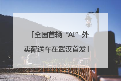 全国首辆“AI”外卖配送车在武汉首发