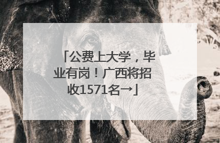公费上大学，毕业有岗！广西将招收1571名→