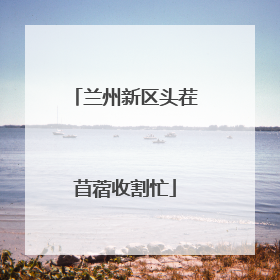 兰州新区头茬苜蓿收割忙