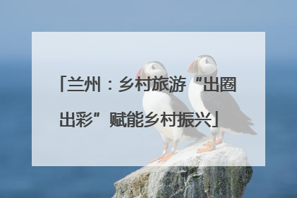 兰州：乡村旅游“出圈出彩”赋能乡村振兴