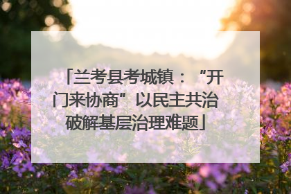 兰考县考城镇：“开门来协商”以民主共治破解基层治理难题