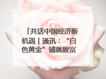 共话中国经济新机遇｜通讯：“白色黄金”铺就致富路——中国技术助力科特迪瓦橡胶产业增产增效