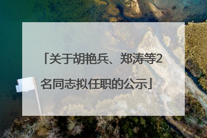关于胡艳兵、郑涛等2名同志拟任职的公示