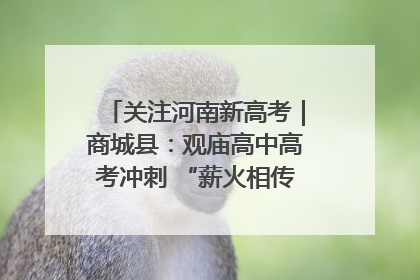 关注河南新高考｜商城县：观庙高中高考冲刺 “薪火相传”助力备考