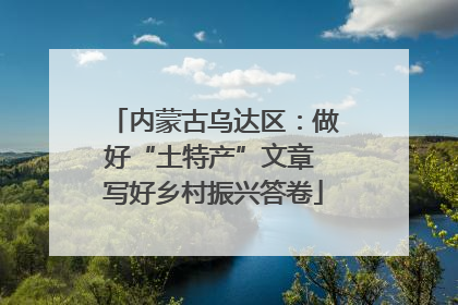 内蒙古乌达区：做好“土特产”文章 写好乡村振兴答卷