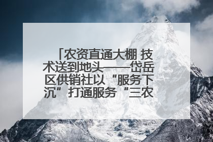 农资直通大棚 技术送到地头——岱岳区供销社以“服务下沉”打通服务“三农”最后一公里