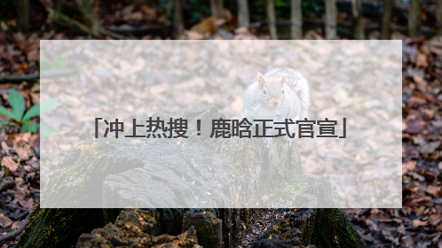 冲上热搜！鹿晗正式官宣