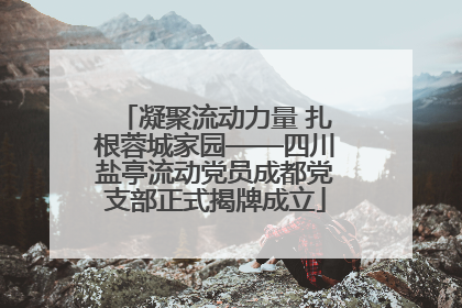 凝聚流动力量 扎根蓉城家园——四川盐亭流动党员成都党支部正式揭牌成立