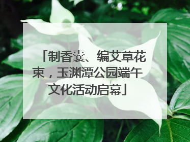 制香囊、编艾草花束，玉渊潭公园端午文化活动启幕