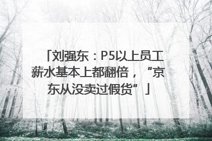 刘强东：P5以上员工薪水基本上都翻倍，“京东从没卖过假货”