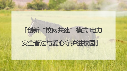 创新“校网共建”模式 电力安全普法与爱心守护进校园