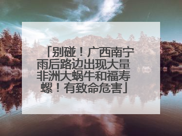 别碰！广西南宁雨后路边出现大量非洲大蜗牛和福寿螺！有致命危害