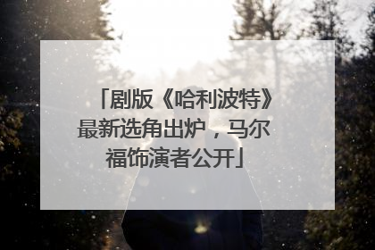 剧版《哈利波特》最新选角出炉，马尔福饰演者公开
