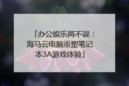 办公娱乐两不误：海马云电脑重塑笔记本3A游戏体验
