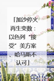 加沙停火再生变数：以色列“接受”美方案、哈马斯不认可