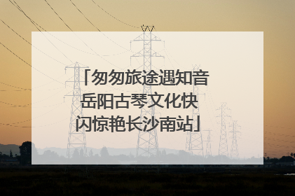 匆匆旅途遇知音 岳阳古琴文化快闪惊艳长沙南站
